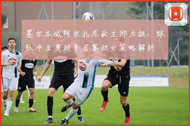 墨尔本城阿尔扎尼获主帅力挺,球队冲击澳超季后赛积分策略解析