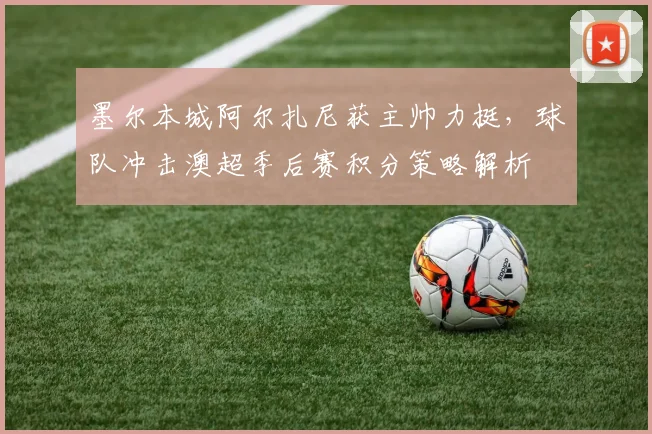 墨尔本城阿尔扎尼获主帅力挺，球队冲击澳超季后赛积分策略解析
